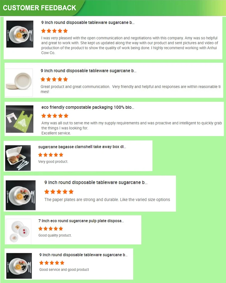 Fast packaging Biodegradable food bento lunch box recycling